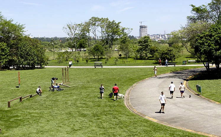 De problema à solução: aterros sanitários viraram parques públicos em São Paulo